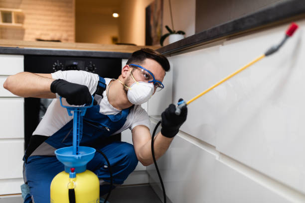 Best Local Pest Control Services  in Hitchcock, TX