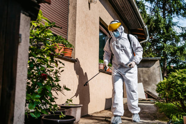Best Best Pest Control Companies  in Hitchcock, TX