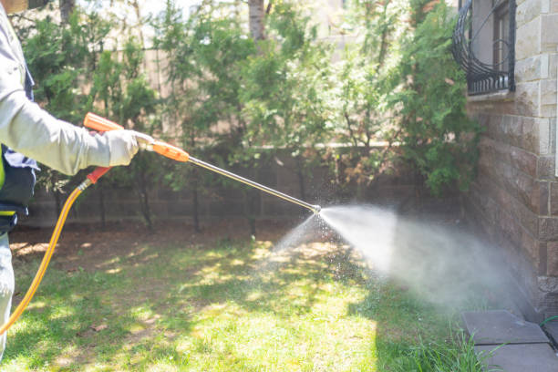 Best Ant Control Services  in Hitchcock, TX