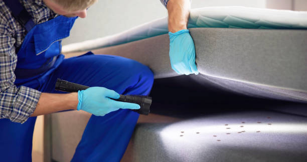 Best Exterminator Services  in Hitchcock, TX