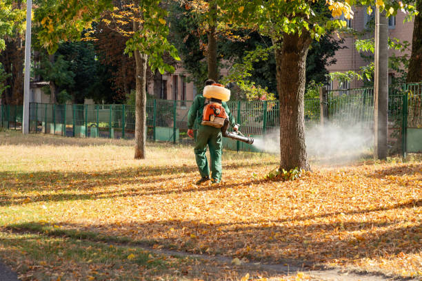Trusted Hitchcock, TX Pest Control Experts