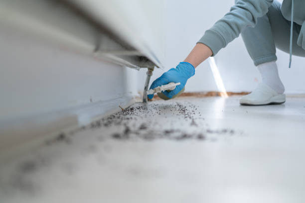 Best Commercial Pest Control Services  in Hitchcock, TX