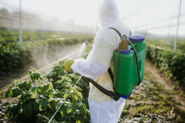 Best Mosquito Control Services  in Hitchcock, TX